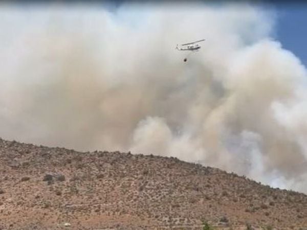 Incendio forestal en San Carlos de Apoquindo moviliza a varias compañías de Bomberos