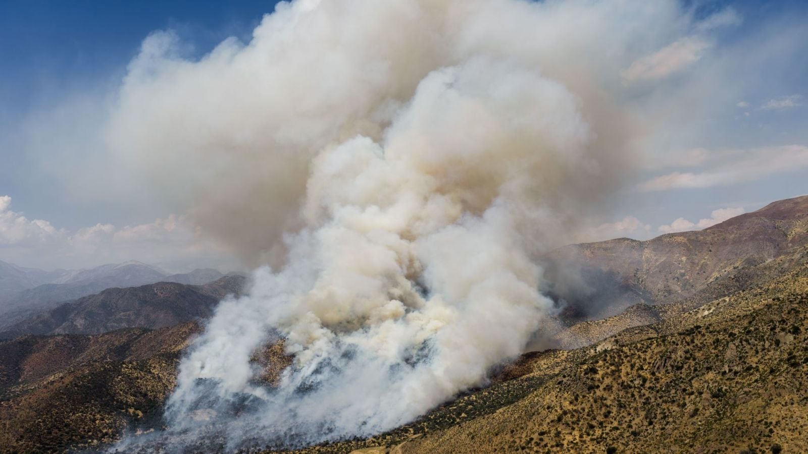 Incendio forestal en San Carlos de Apoquindo