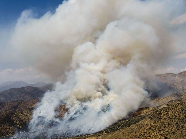 Incendio forestal en San Carlos de Apoquindo