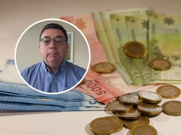 Bonos previsionales de enero