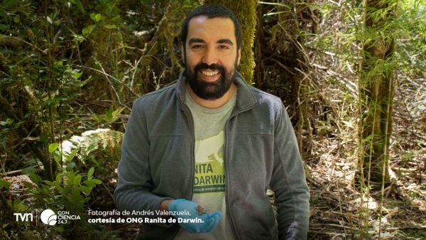 Ranita de Darwin y Andrés Valenzuela.