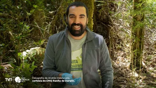 Ranita de Darwin y Andrés Valenzuela.