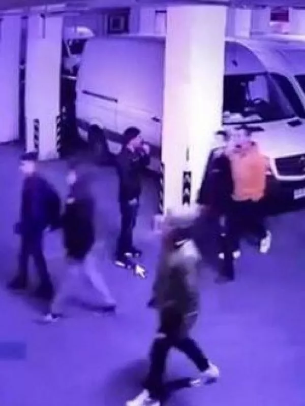 mafia china meiggs