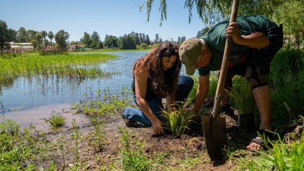 Humedales en O'Higgins