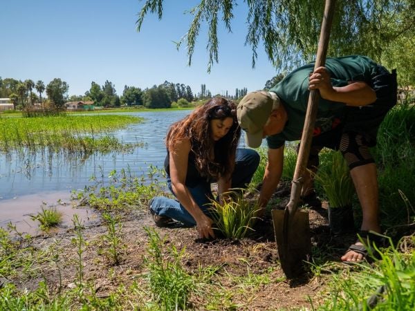 Humedales en O'Higgins