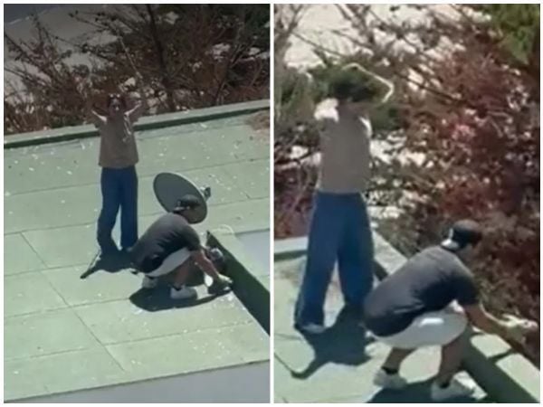 Sujetos que lanzaron polluelos fueron liberados