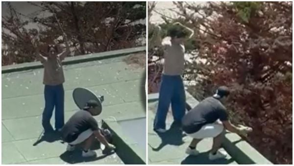 Sujetos que lanzaron polluelos fueron liberados