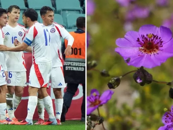 Plantel de la Selección Chilena y una flor del Desierto Florido