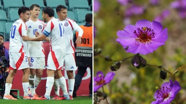 Plantel de la Selección Chilena y una flor del Desierto Florido