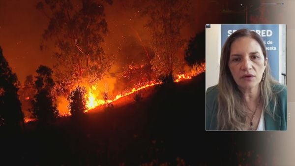 Senapred incendios en calor extremo
