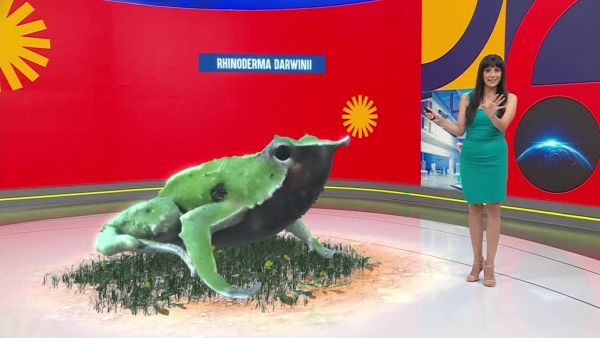 Conciencia 24.7 del 8 de enero de 2026.