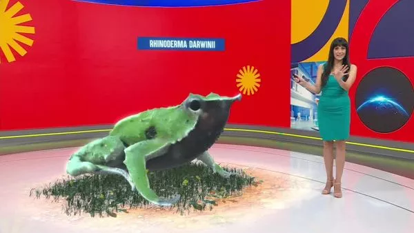 Conciencia 24.7 del 8 de enero de 2026.