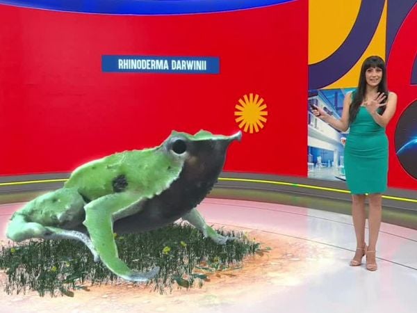 Conciencia 24.7 del 8 de enero de 2026.