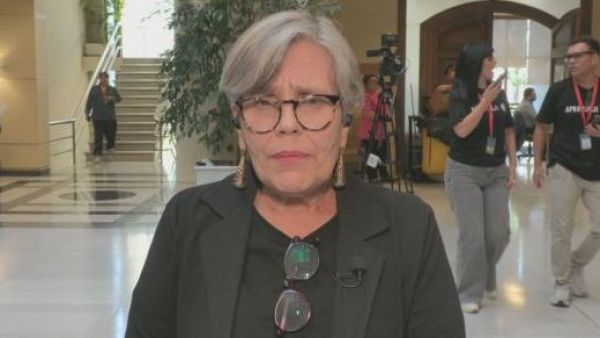 Diputada Fries y fallo del caso Gustavo Gatica