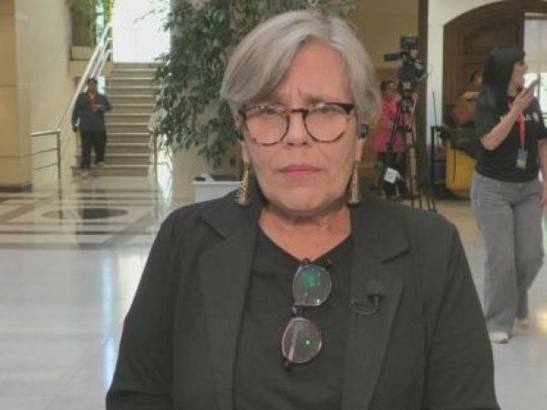 Diputada Fries y fallo del caso Gustavo Gatica