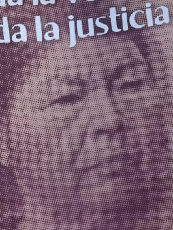 Caso Julia Chuñil: cómo fueron mutando las versiones de dos testigos clave