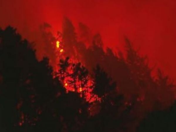 incendio Penco fallecidos