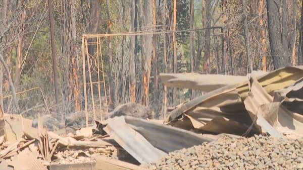 incendio bulnes fallecido