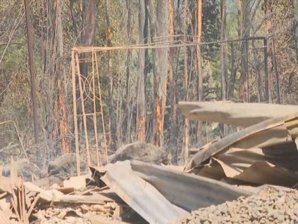 incendio bulnes fallecido