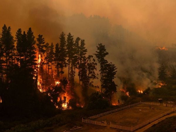 Incendio Forestal. Foto referencial.