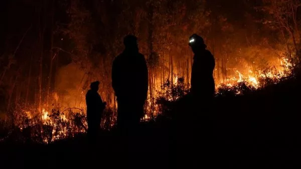 Incendio Forestal. Foto referencial.