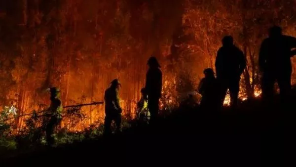 Incendios forestales: Confirman hallazgo de contenedores con bencina en rutas del Gran Concepción