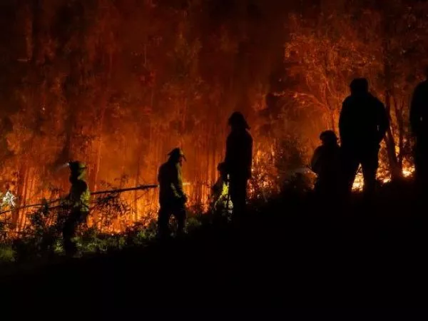 Incendios forestales: Confirman hallazgo de contenedores con bencina en rutas del Gran Concepción