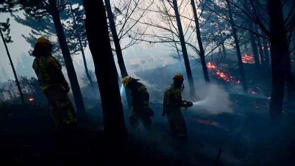 Incendio forestal. Foto referencial.