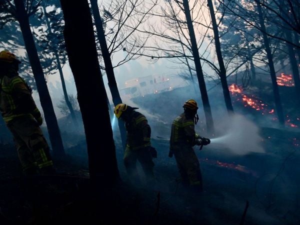 Incendio forestal. Foto referencial.