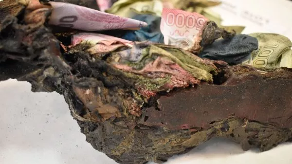 ¿Se te quemó dinero en los incendios? Banco Central y abogada explican qué hacer