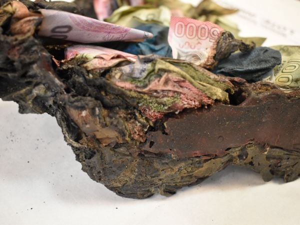 ¿Se te quemó dinero en los incendios? Banco Central y abogada explican qué hacer