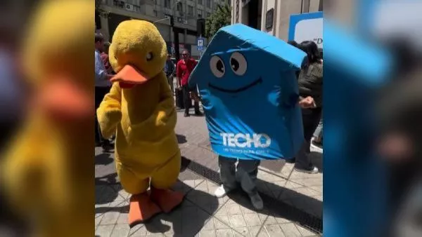 Lanzan campaña para construir 250 viviendas de emergencia tras incendios en Ñuble y Biobío