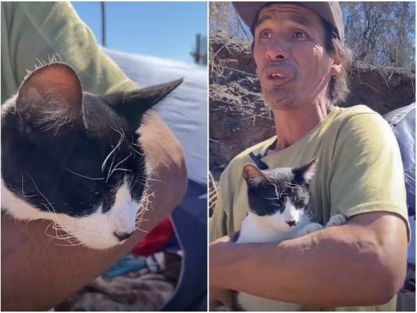 Gato salva a su dueño de incendio forestal