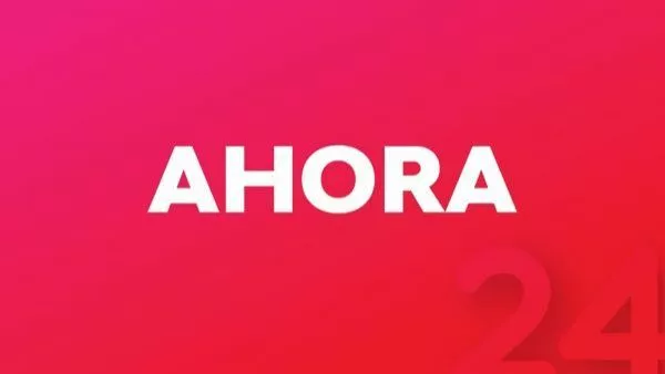 Declaran alerta roja para la comuna de Victoria por incendio forestal