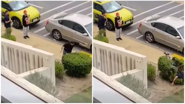 Sujeto se graba dañando arbusto en Concón.