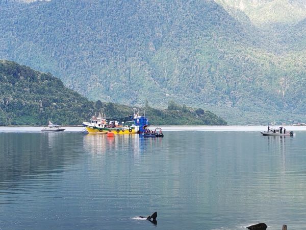 Confirman hallazgo del cuerpo de uno de los 6 tripulantes desaparecidos en Los Lagos