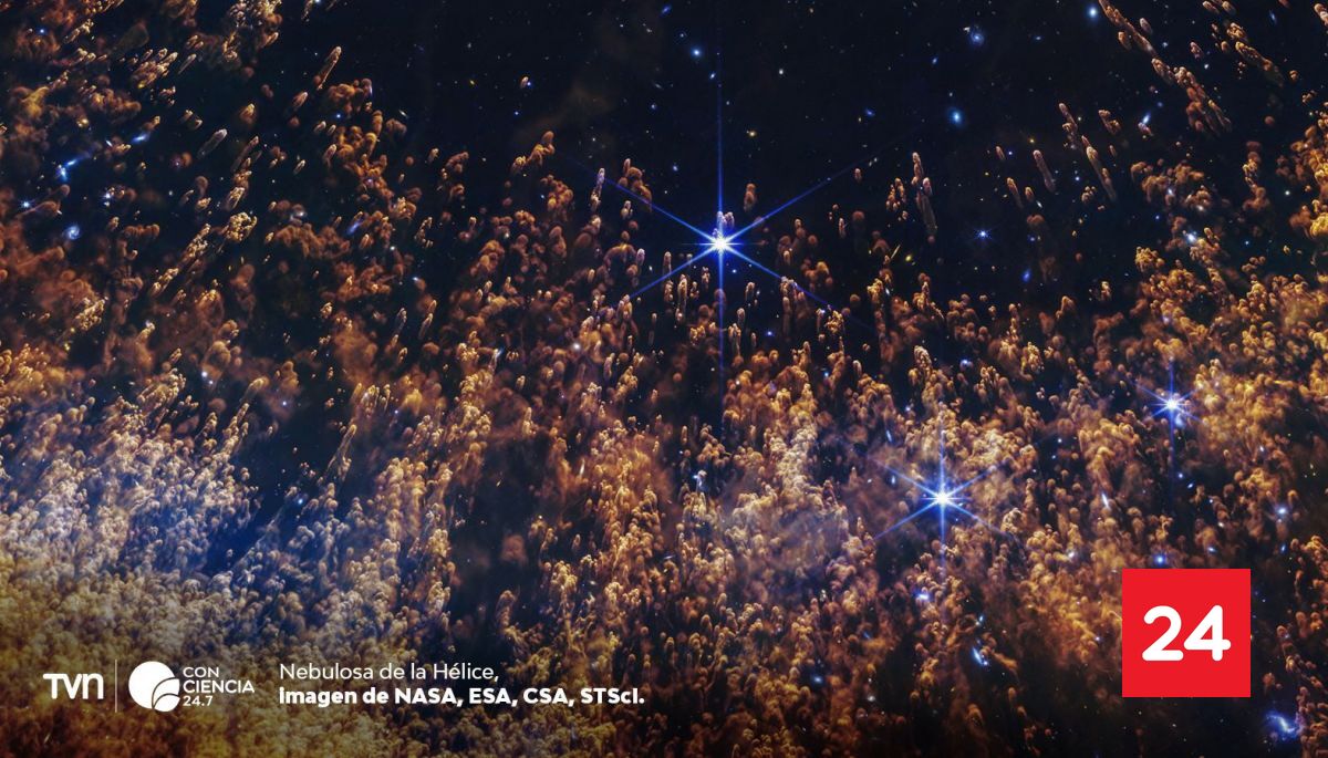 El telescopio James Webb revela detalles inéditos de la Nebulosa de la ...