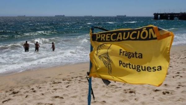 Fragata portuguesa