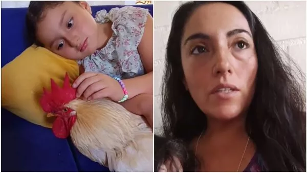 Madre busca ayuda para proteger a su gallo tras reclamo de vecino