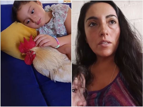 Madre busca ayuda para proteger a su gallo tras reclamo de vecino