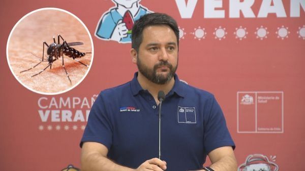 Alerta sanitaria por mosquito del dengue: ¿Cómo se transmite y cuáles son los síntomas?