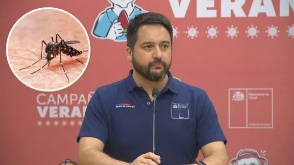 Alerta sanitaria por mosquito del dengue: ¿Cómo se transmite y cuáles son los síntomas?