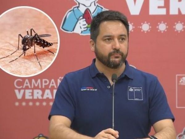 Alerta sanitaria por mosquito del dengue: ¿Cómo se transmite y cuáles son los síntomas?
