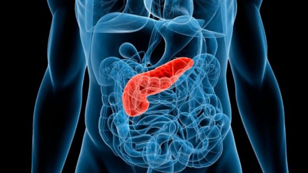 Estudio logró eliminar cáncer de páncreas en ratones por primera vez