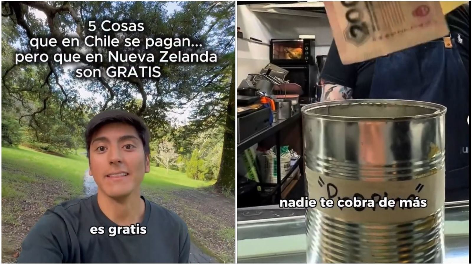Joven revela 5 cosas gratis en Nueva Zelanda que en Chile se cobran.
