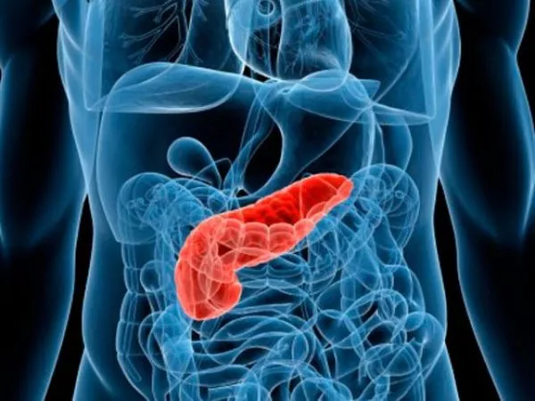 Estudio logró eliminar cáncer de páncreas en ratones por primera vez