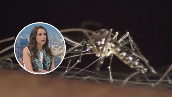 Protocolo de emergencia por presencia de mosquito en Chile