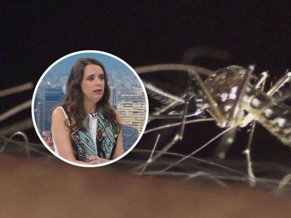 Protocolo de emergencia por presencia de mosquito en Chile