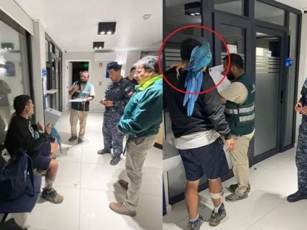 SAG fiscalizó a sujeto que se paseaba por Algarrobo con un guacamayo y lagarto