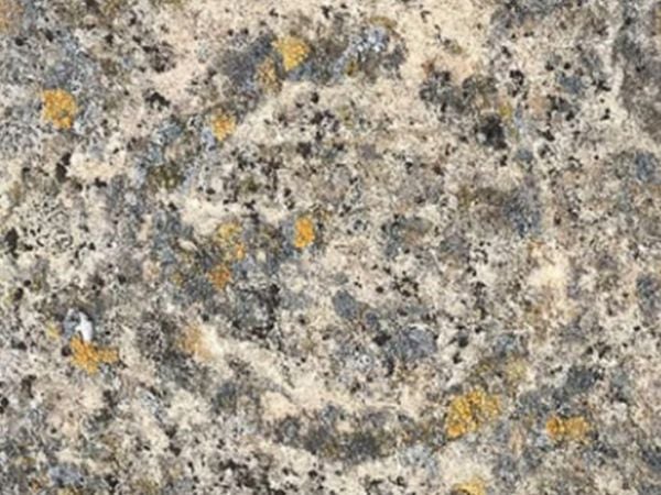 Grabado rupestre en roca de arenisca registrado en Sierra Baguales, Región de Magallanes.